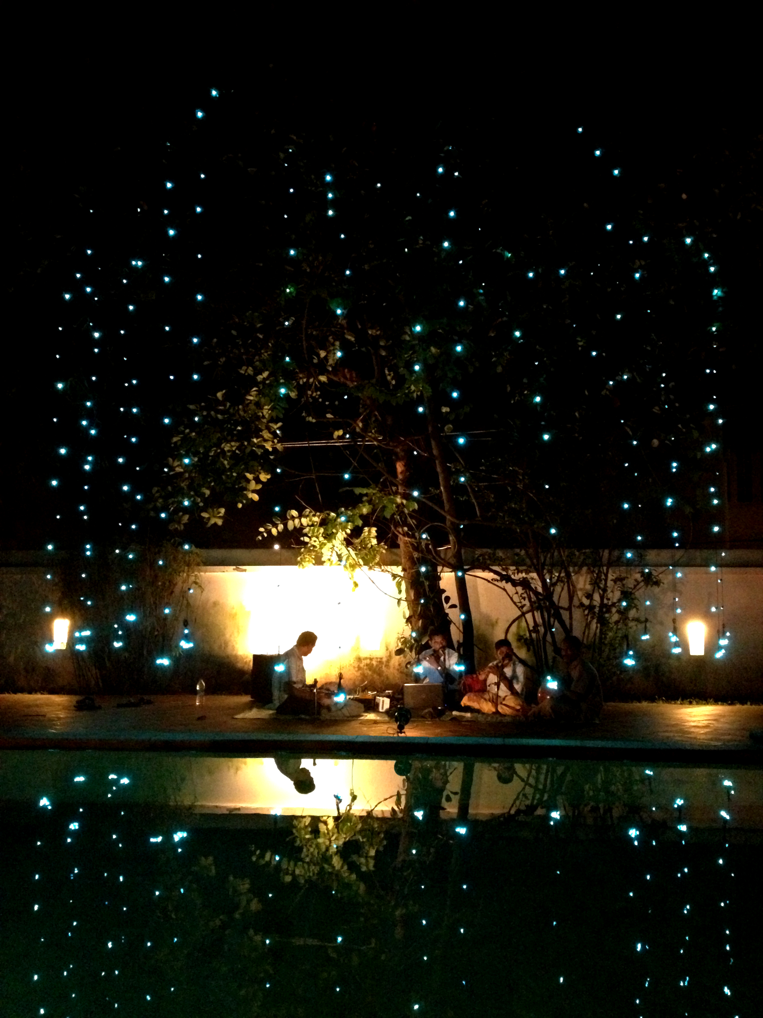 Árbol de bombillas